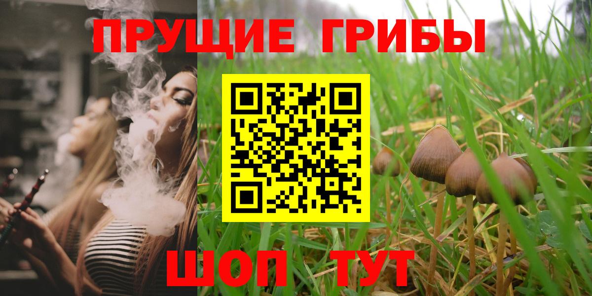 Галлюциногенные грибы прущие грибы Россошь