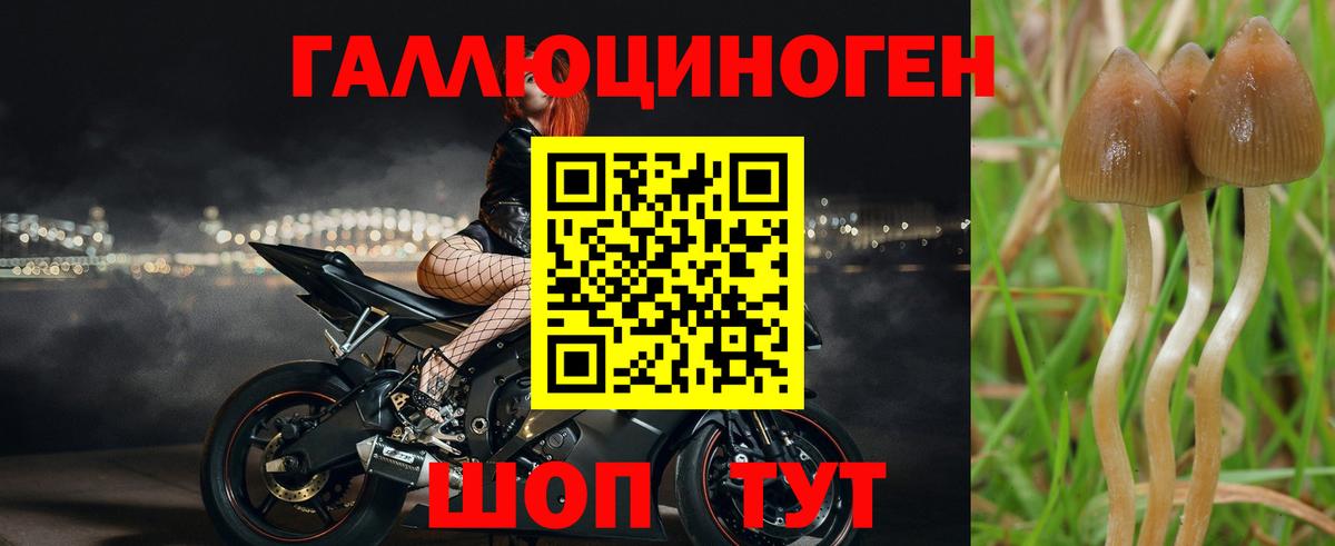 Россошь  Псилоцибиновые грибы Psilocybine cubensis  Вход с VPN  Псилоцибиновые грибы мухоморы 